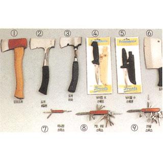 ���� ����������