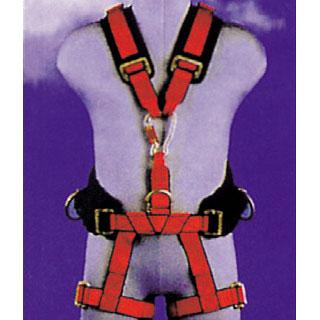 �����׳�