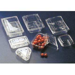 ����丶�� Ʈ����