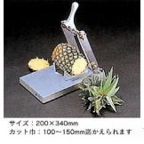 ���ξ�����Ʈ��