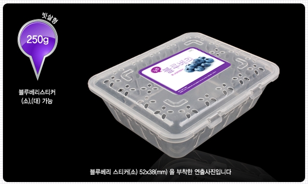 ��ƼĿ(���纣�� ��)