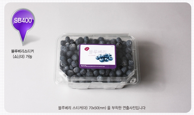 ��ƼĿ(���纣�� ��)