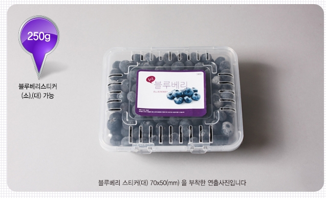 ��ƼĿ(���纣�� ��)