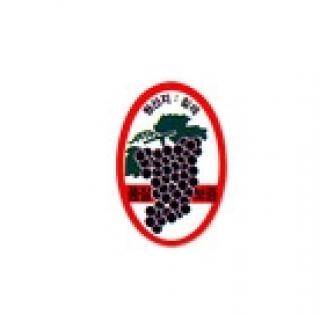 ��ƼĿ(ĥ����/����)