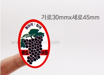 ��ƼĿ(ĥ����/����)