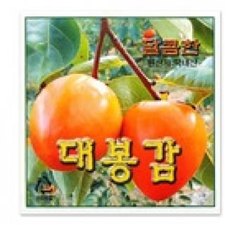 ��ƼĿ(������/�����)