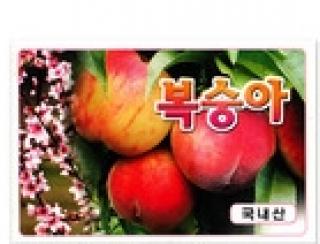 ��ƼĿ(������/������)