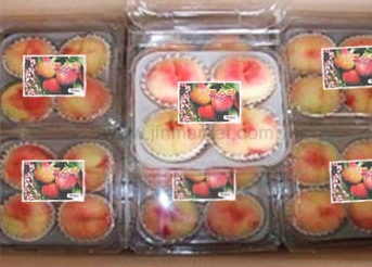 ��ƼĿ(������/������)