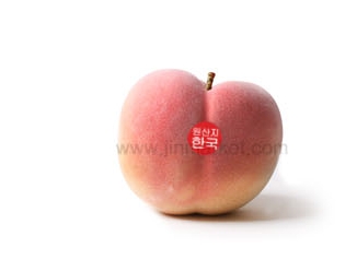 ��ƼĿ(������/�ѱ�)