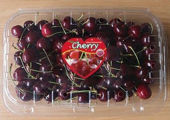 ��ƼĿ(ü��/����)