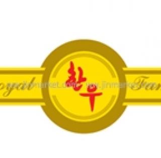 ��ƼĿ(�����/�ѿ�)