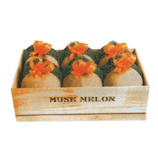 �������� �޷л���(2, 3, 4, 6��)