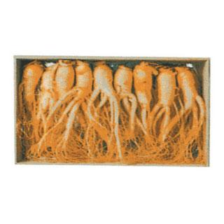 ��������(�λ�)