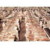 �츮�� �̷� �������� ������ ���߾� ��~�ô�!