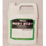 ���̶��� �ڵ��+