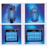 ���� �����