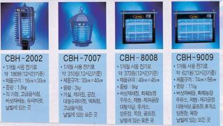 ���� �����(������)