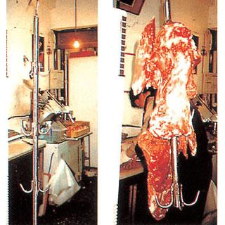 ������ �������(Ư��ǰ)