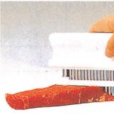 ���� ������