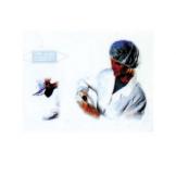 ��ȸ�� ������ Set