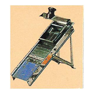 ��������Ʈ