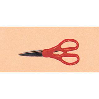 ���̾�Ʈ����(����, ��ä)