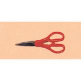 ���̾�Ʈ����(����, ��ä)