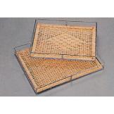 ö�ɵ�ä��(��ǰ�غ���)