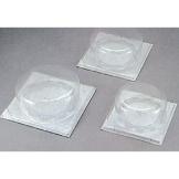 ����ũ���� ��(��ǰ�غ���)