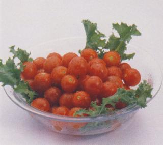 ����丶��